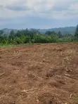 50x100ft Plots for Sale in Kyanuna, Namayumba - 5