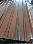 Harvest Gold Super Eco Roofing Sheets - 2