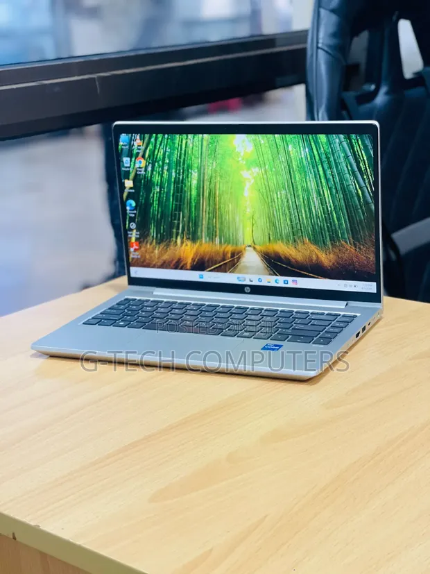 HP ProBook 440 G10 Laptop - 16GB RAM, 512GB SSD, Core i7 - 1
