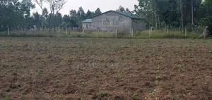 Newly Built Warehouse for Rent - Tororo