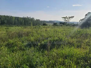 50x100 Plot for Sale in Kalagala, Mukono