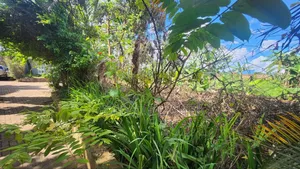 Commercial Land for Rent