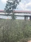 Mukono Kiyunga 50 Acres Titled Farmland for Sale - 1