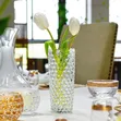 Dewdrop Design Clear Glass Vase - 1