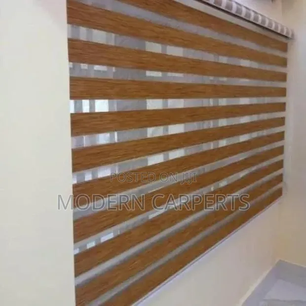 Viz Executive Zebra Blinds - 1