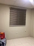 CDC Zebra Window Blinds - 2