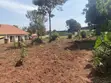 26 Decimals Plot for Sale in Kitende - Mazzi - 1