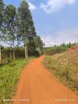 25 Acres Land for Sale in Kakooge, Luweero - 1