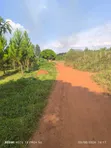 25 Acres Land for Sale in Kakooge, Luweero - 2