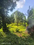 25 Acres Land for Sale in Kakooge, Luweero - 5