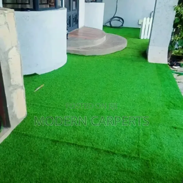 Zair Artificial Turf - 1