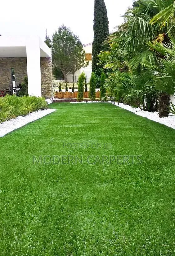 Qinc Artificial Turf - 1