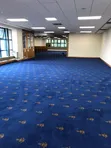Exotic Wall-to-Wall Fancy Carpets - 1