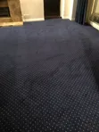 Exotic Wall-to-Wall Fancy Carpets - 2