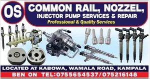 Common Rail Injector Pump Services