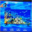 Vinmax 32-Inch LED TV, Model VT-F3432T2F, 1080p Full HD - 2