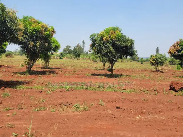 Mukono Kisoga Town Estate - 100x50ft Plot - 1