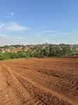 Mukono Kisoga Town Estate - 100x50ft Plot - 2