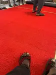 Red Grass Per Square Meter - 1