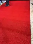 Red Grass Per Square Meter - 2