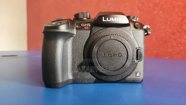 Panasonic Lumix GH5S Camera (Body Only) - 1