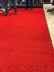 Artificial Grass - Red - 1