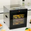 Premium 8-Tray Stainless Steel Digital Food Dehydrator - 1