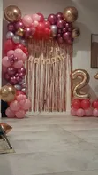 Balloons & Wall Backdrop Party Supplies - 2