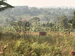 Land for Sale in Kabembe Town