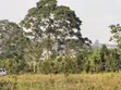Land for Sale in Kabembe Town - 2