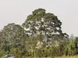 Land for Sale in Kabembe Town - 3