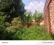 Plot of Land with Incomplete House in Zirobwe - 2
