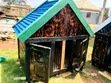 Dog Kennels - Kampala Made - 3