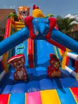 SAFISA TENTS SOLUTIONS - Event Organization - 4