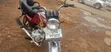 Bajaj Boxer 2026 White - 1
