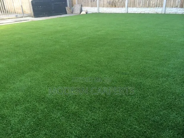 Openic Artificial Turf - 1