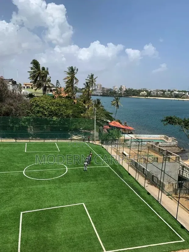 Nortic Artificial Turf - 1