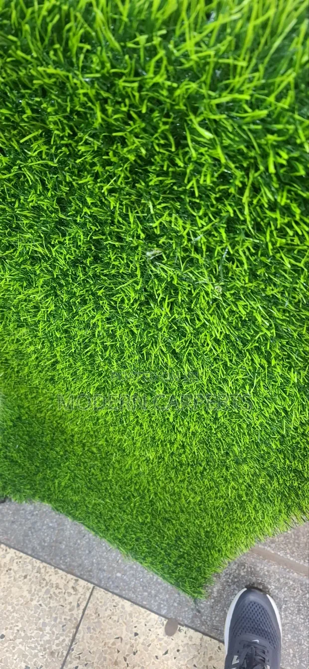 Bric Artificial Turf - 1