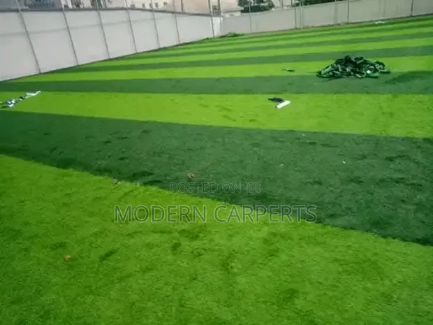 VLLM Artificial Turf - 1