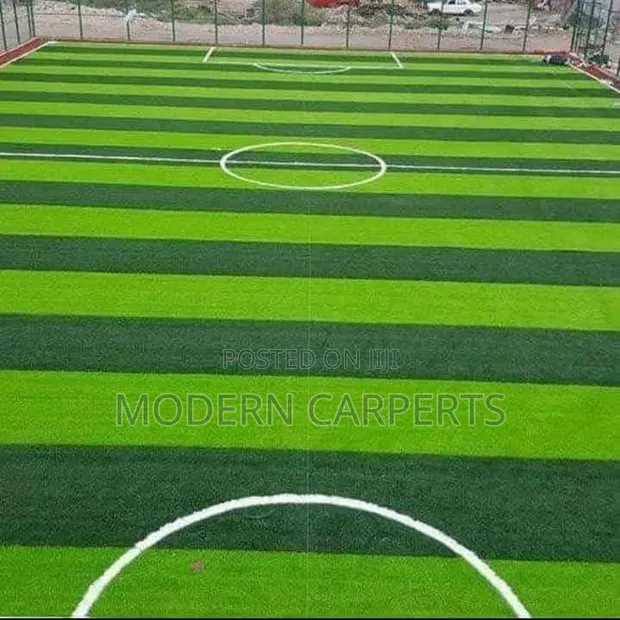 SLXV Artificial Turf - 1