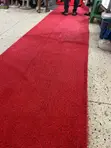 Tuff Grass Carpet - Red, Per Square Meter - 1