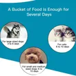 Automatic Pet Feeder and Waterer - 3.5L - 3