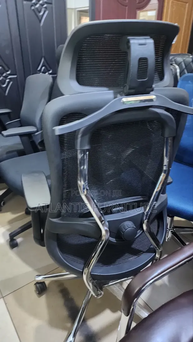 Executive Ergonomic Office Chair with Headrest and Coat Hanger - 1
