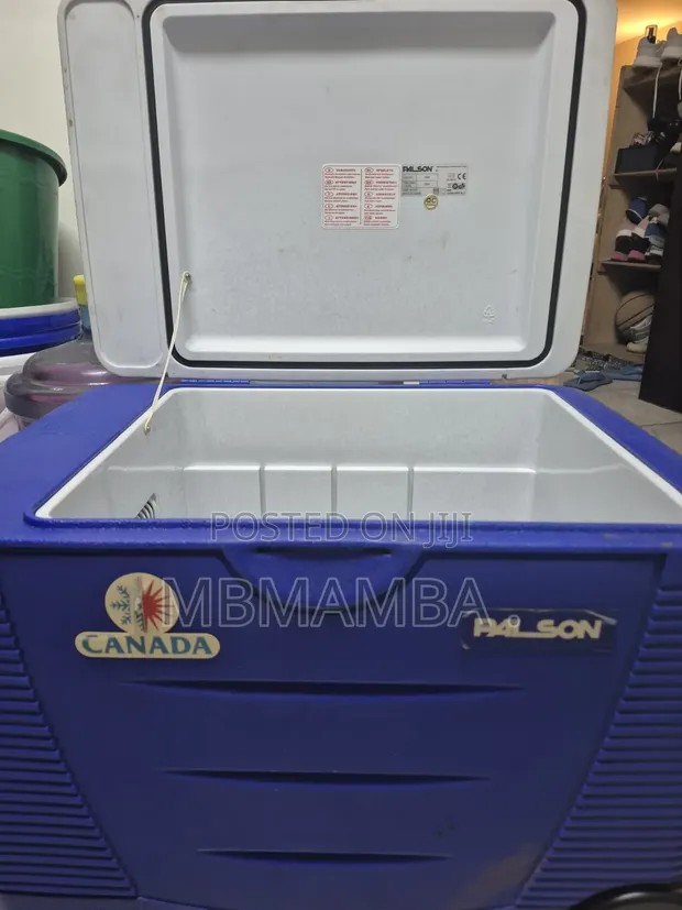 Electric Cooler Box - 1