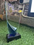 Awards and Accolades for Corporate, Schools, Ministries - 4