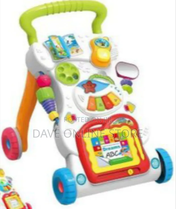 Multi-Functional Walker - 1