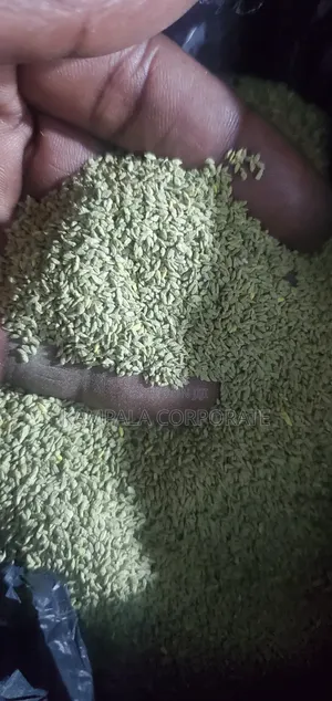 Compound Grass Seeds - Bamude & South African Varieties
