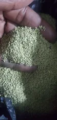 Compound Grass Seeds - Bamude & South African Varieties - 1