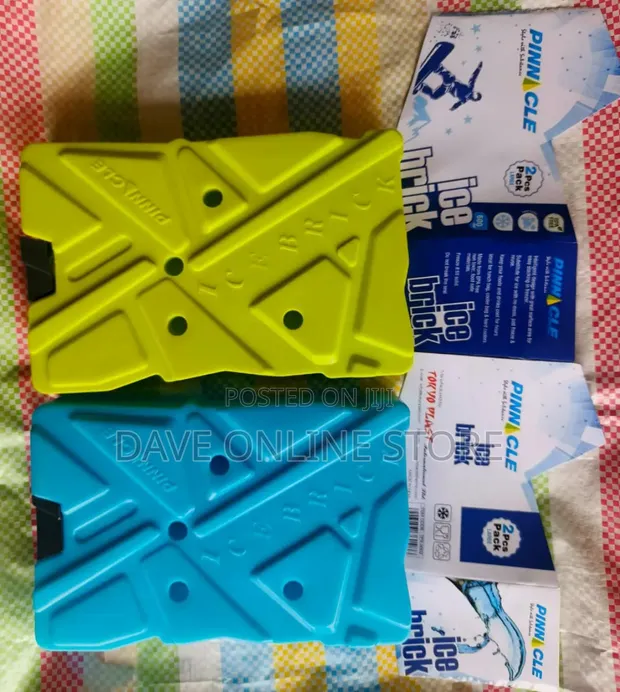 Pinnacle 2 Pack Reusable Ice Bricks - 1