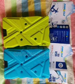 Pinnacle 2 Pack Reusable Ice Bricks